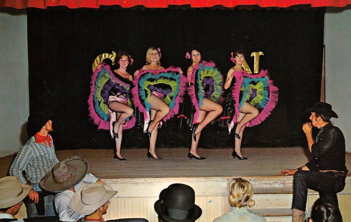 Floridaland - Vintage Postcard (newer photo)